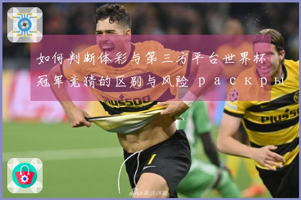 如何判断体彩与第三方平台世界杯冠军竞猜的区别与风险 раскрыть