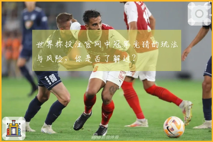 世界杯投注官网中冠军竞猜的玩法与风险，你是否了解过？