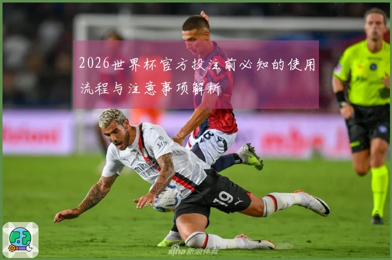 2026世界杯官方投注前必知的使用流程与注意事项解析