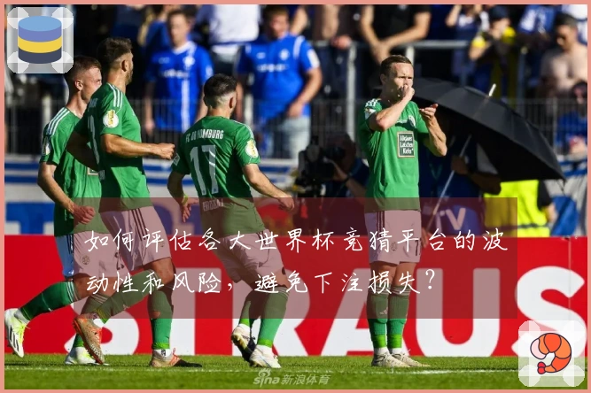 如何评估各大世界杯竞猜平台的波动性和风险，避免下注损失？