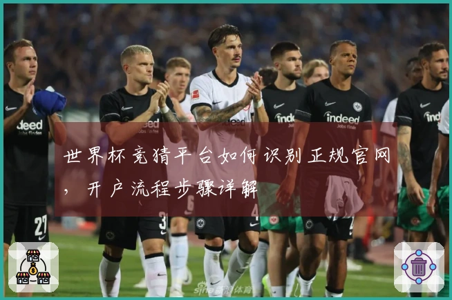 世界杯竞猜平台如何识别正规官网，开户流程步骤详解