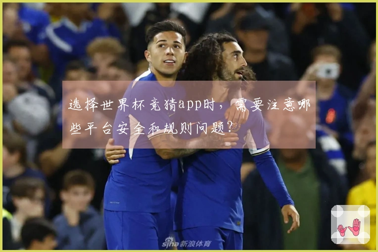 选择世界杯竞猜app时，需要注意哪些平台安全和规则问题？