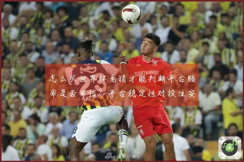 怎么买世界杯竞猜才能判断平台赔率是否可信？平台稳定性对投注安全有何影响