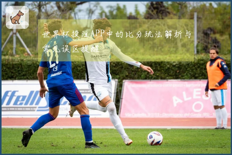 世界杯投注APP中的比分玩法解析与常见误区提醒